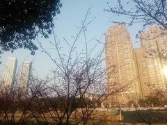 -望江楼公园