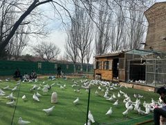 -长白岛森林公园