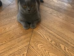 -Me Coffee下午茶艺术空间