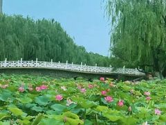 -满都海公园