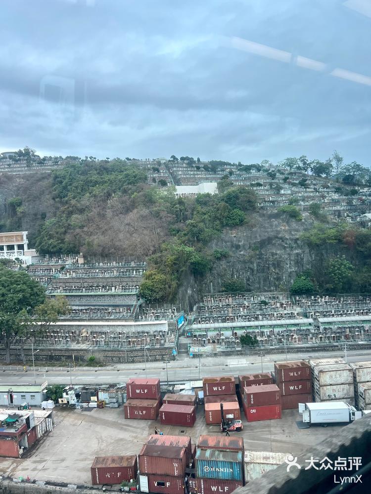 春日随手拍 #生活记录 #旅遊 荃湾华人永远坟场 荃湾/青衣宗教 3  55