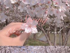-顾村公园