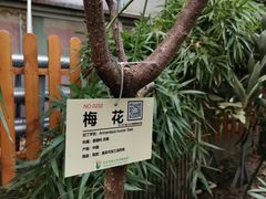 -呀路古热带植物园