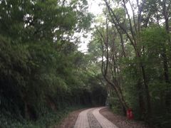 -上海佘山国家森林公园西佘山园