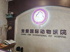 -宠爱国际动物医院·疑难骨科·心肾内科·皮肤科(太阳宫店)