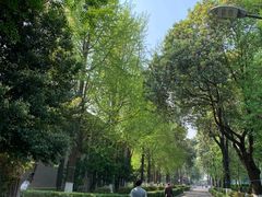 -四川大学(华西校区)