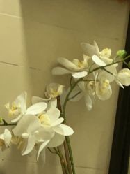 -LJOY丽锦造型·烫发染发