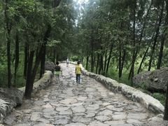 -阳台山自然风景区