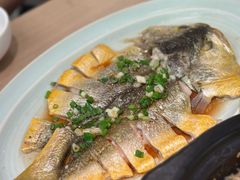 -宽鲜·海鲜锅贴·青岛菜(华润万象城店)