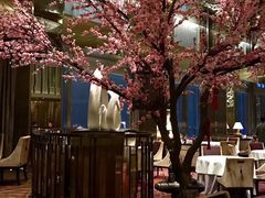 -金轩中餐厅 Jin Xuan(浦东丽思卡尔顿酒店)