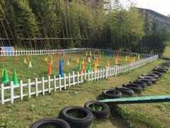 -上海崇明金茂凯悦酒店