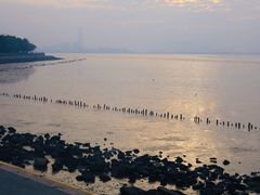 -深圳湾公园(南山区)