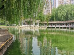 -团结湖公园