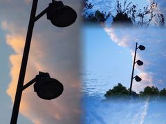 -佛手湖郊野公园