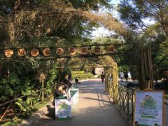 -福建鲤鱼洲酒店