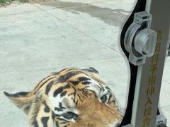 -西安秦岭野生动物园