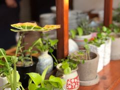 -铃木食堂(帽儿胡同店)