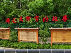 -太阳宫公园