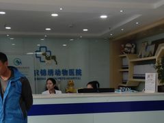 -喜多萌中农锦绣动物医院24H·猫科·牙科MRI·CT
