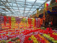 -吉祥圣雪藏餐