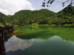 -广州白江湖森林公园