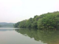 -佛手湖郊野公园