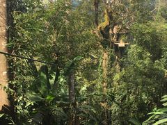-清迈丛林飞跃 JungleFlight