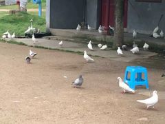 -石燕湖生态旅游景区