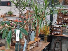 -北马山庄植趣咖啡