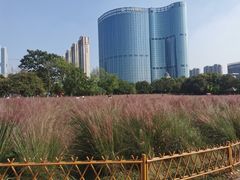 -艾溪湖湿地公园