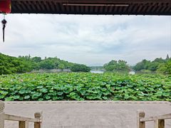 -江心屿景区
