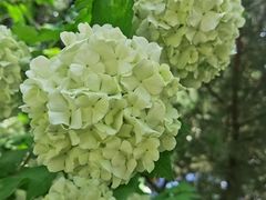 -北京友谊宾馆·俄罗斯餐厅