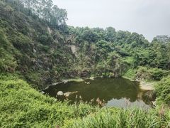 -火炉山森林公园