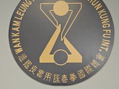 -温鉴良实用咏春拳