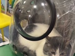 -宠颐生宠物医院外科·内科·皮肤科·影像科(石龙店)