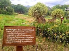 -四季酒店下午茶