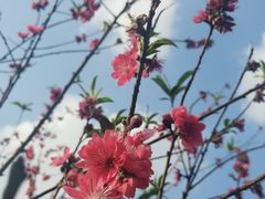 -白水带风景区体育公园