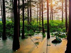 -云龙湖旅游景区