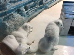 -华夏文旅海洋公园