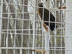 -秦皇岛野生动物园