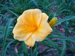 -北京国家会计学院