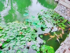 -春风习习