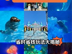 -海合安成都极地海洋公园