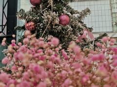 -NoNo Cake(大唐广场店)