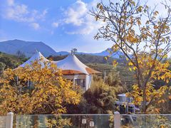 -帐篷客·溪龙茶谷度假酒店