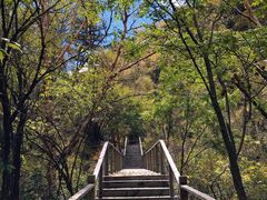 景点-叠溪松坪沟景区