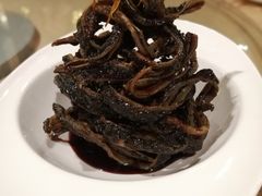 -红豆杉庄会议中心