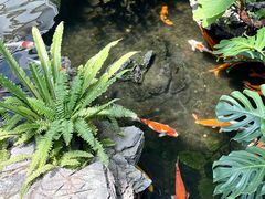 -白天鹅宾馆-宏图府餐厅