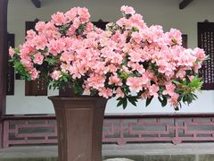 -成都杜甫草堂博物馆