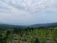 -碧峰峡风景区